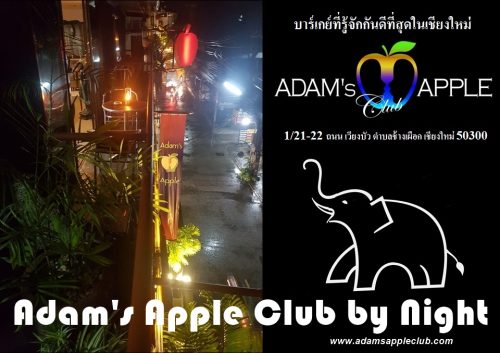 Adams Apple Club Chiang Mai by Night Adult Entertainment