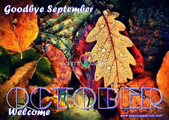 WELCOME OCTOBER 2020! Our Team wish YOU a beautiful OCTOBER 2020! Enjoy YOUR Gay Life in Chiang Mai. Adult Entertainment Go-Go Bar