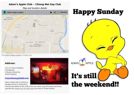 HAPPY SUNDAY YIPPEE YIPPEE YEAH Where to go SUNDAY NIGHT in Chiang Mai?The answer is quite easy: Adam’s Apple Host Club the No.1 Host Bar in town.