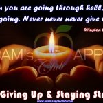 Not Giving Up & Staying Strong Adams Apple Club Chiang Mai Most well-reputed Gay Bar Chiang Mai, Thailand Go-Go Bar Adult Entertainment