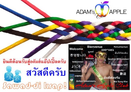 Sawad di krap! Adams Apple Club Chiang Mai Nightclub Gay Bar Adult Entertainment Host Club DREAMS come true ฝันที่เป็นจริง Ladyboy Cabaret