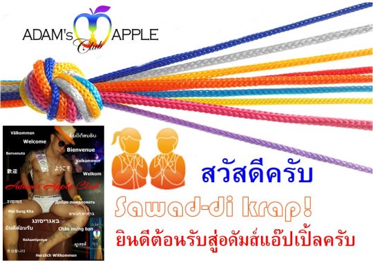 Sawad di krap! Adams Apple Club Chiang Mai Nightclub Gay Bar Adult Entertainment Host Club DREAMS come true ฝันที่เป็นจริง Ladyboy Cabaret