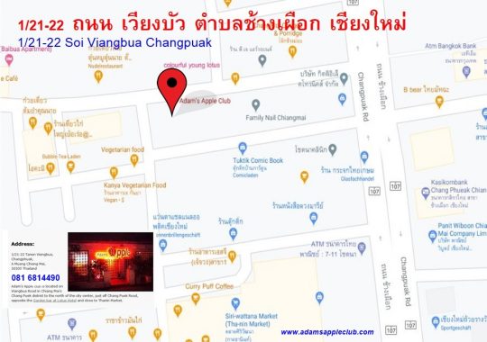 The Way to us! Location Gay Bar Chiang Mai Adams Apple Club Adult Entertainment Nightclub Go-Go Bar with live Shows Ladyboy Cabaret and handsome Asianboys