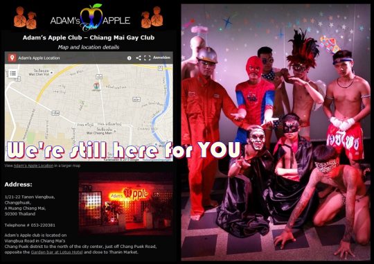 We are still here for YOU Adam's Apple Club Chiang Mai The most popular Show Bar in Chiang Mai DREAMS come true Night Club Go-Go Bar Gay Bar