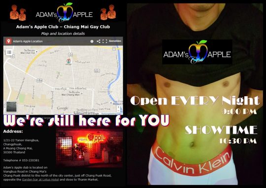 We are still here for YOU Adam's Apple Club Chiang Mai The most popular Show Bar in Chiang Mai DREAMS come true Night Club Go-Go Bar Gay Bar
