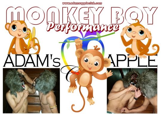 MONKEY BOY Performance Adult Entertainment Chiang Mai Gay Bar Host Bar Nightclub Adams Apple Club Go-Go Bar Asian Boy Liveshows