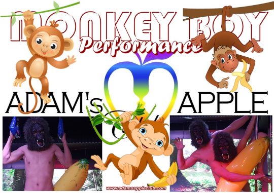 MONKEY BOY Performance Adult Entertainment Chiang Mai Gay Bar Host Bar Nightclub Adams Apple Club Go-Go Bar Asian Boy Liveshows