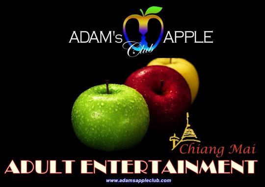 Adult Entertainment in Chiang Mai Adams Apple Club Thailand most well-reputed Gay Bar Ladyboy Cabaret Nightclub Host Bar Asian Boy Performances