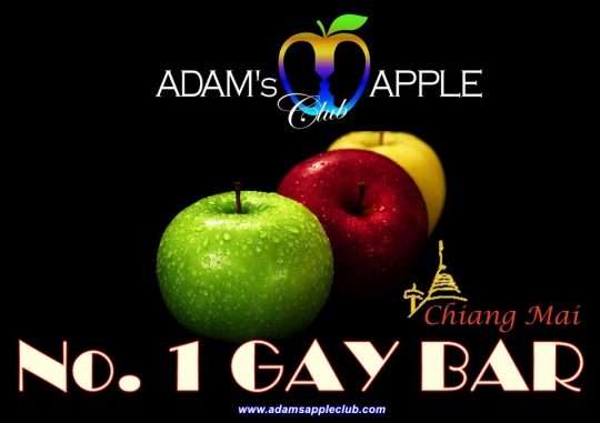 Gay Bar in Chiang Mai Adams Apple Club Adult Entertainment Thailand Live Shows Ladyboy Cabaret Host Bar Nightclub Go-Go Bar Asian Boys LGBTQ