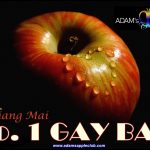 Gay Bar in Chiang Mai Adams Apple Club Adult Entertainment Thailand Live Shows Ladyboy Cabaret Host Bar Nightclub Go-Go Bar Asian Boys LGBTQ
