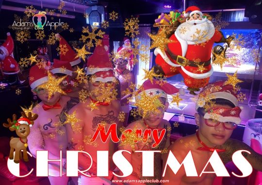 Merry Christmas 2020 Gay Bar Chiang Mai, Thailand Adult Entertainment Host Bar Ladyboy Show Nightclub บาร์เกย์เชียงใหม่ บาร์โฮสสันติธรรม