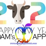 HAPPY NEW YEAR 2021 Bar Gay Chiang Mai Thailand Adult Entertainment Host Bar Ladyboy Show บาร์โฮสสันติธรรม #บาร์เกย์เชียงใหม่