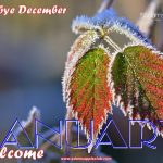 WELCOME JANUARY 2021 Host Club Chiang Mai บาร์โฮสสันติธรรม บาร์เกย์เชียงใหม่ men entertain men Bar Gay Ladyboy Show Kathoy Nightclub