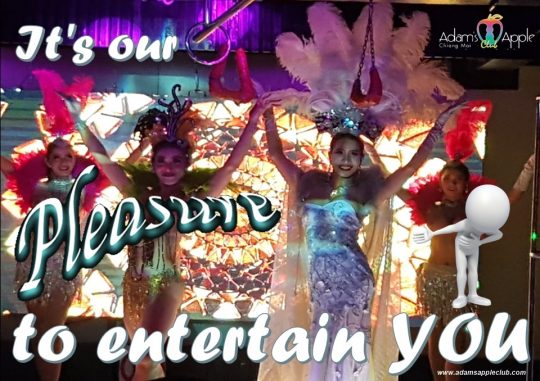 We providing pleasure and amusement! Adult Entertainment Chiang Mai Ladyboy Liveshows Asianboy Thaiboy Nightclub Kathoy Cabaret Host Bar Gay Club