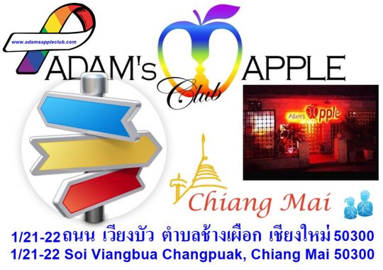 Chiang Mai Gay Places and Gay Scene Adams Apple Club Adult Entertainment Nightclub with Ladyboy Liveshows Go-Go Boys Host Club Bar Gay
