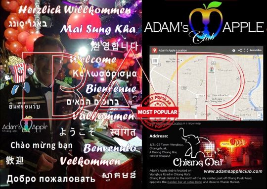 Popular Bar Chiang Mai Adams Apple Club Adult Male Entertainment Nightclub with Liveshow Ladyboys Cabaret Asianboys Host Bar Gay Club Thai Boy