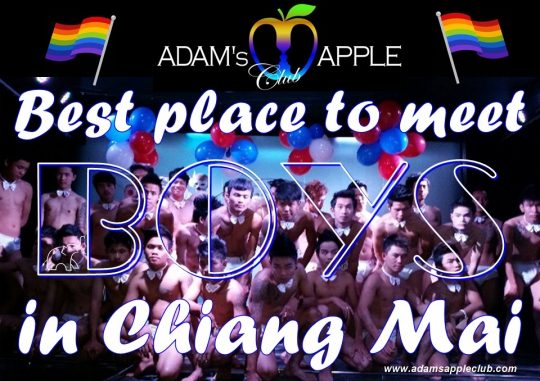 Meet BOYS in Chiang Mai Adams Apple Club Adult Entertainment popular Show Bar Ladyboy Cabaret Asian Boys Host Club Nightclub Thai Boys LGBTQ