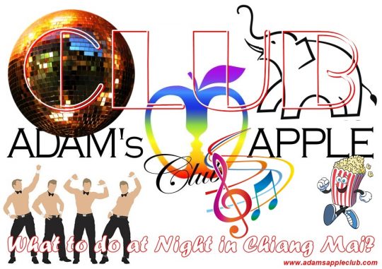 Club Chiang Mai Adams Apple Club most POPULAR Clubbing Nightclub Nightlife Night Spot with Ladyboy Liveshows Host Bar Gay Club Asian Boys LGBTQ