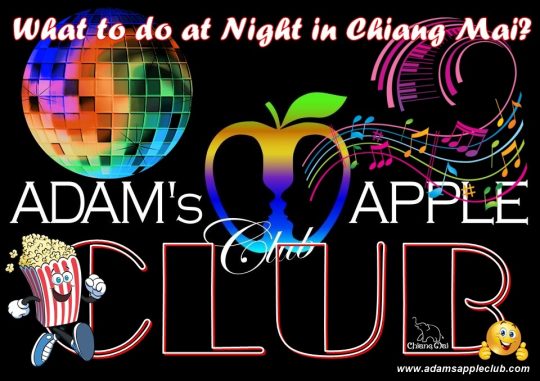 Club Chiang Mai Adams Apple Club most POPULAR Clubbing Nightclub Nightlife Night Spot with Ladyboy Liveshows Host Bar Gay Club Asian Boys LGBTQ