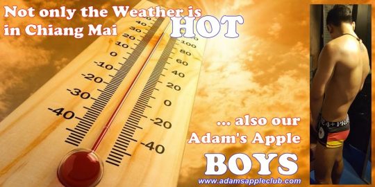 Not only the Weather is HOT in Chiang Mai ... also our Adam's Apple BOY Host Bar - Gay Club - Clubbing - Nightclub - Nightlife - Nighttime Entertainment