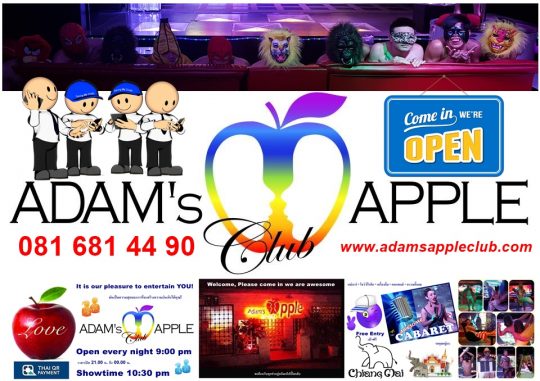 Bar Gay Chiang Mai Adams Apple Club Nightclub Nightlife Adult Male Entertainment Ladyboy Liveshow Asian Boys Ladyboys men entertain men LGBTQ