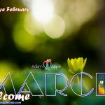 WELCOME March 2021 Adams Apple Club Gay Bar Chiang Mai Spotlight Adult Entertainment Ladyboy Liveshow Thai Boy Nightclub Gay Scene