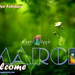 WELCOME March 2021 Adams Apple Club Gay Bar Chiang Mai Spotlight Adult Entertainment Ladyboy Liveshow Thai Boy Nightclub Gay Scene