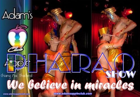 PHARAO PERFORMANCE We believe in miracles Adams Apple Club Chiang Mai Adult Enetertainment Nightclub Host Bar Ladyboy Liveshow
