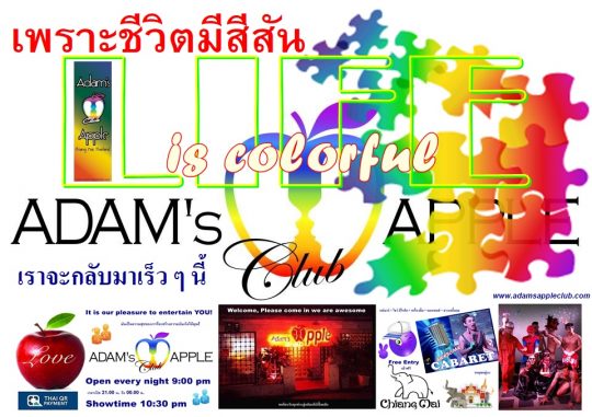 Life is colorful เพราะชีวิตมีสีสัน Adams Apple Club Chiang Mai Host Bar Gay Club Nightclub Ladyboy Cabaret Go-Go Boys Adult Entertainment