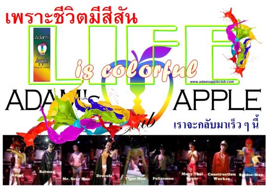 Life is colorful เพราะชีวิตมีสีสัน Adams Apple Club Chiang Mai Host Bar Gay Club Nightclub Ladyboy Cabaret Go-Go Boys Adult Entertainment