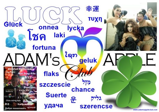 LUCK Adams Apple Club Chiang Mai Adult Entertainment Gay Bar Host Club Nightclub Asian Boys Ladyboy Cabaret LGBTQ Go-Go Bar