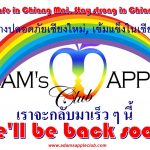 Stay safe in Chiang Mai Stay strong in Chiang Mai Adams Apple Club Nightclub Host Bar Gay Club Go-Go Bar Adult Entertainment Ladyboy Cabaret