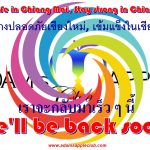 Stay safe in Chiang Mai, Stay strong in Chiang Mai Adams Apple Club Host Bar Gay Club Adult Entertainment Thai Boys Ladyboy Liveshow LGBTQ
