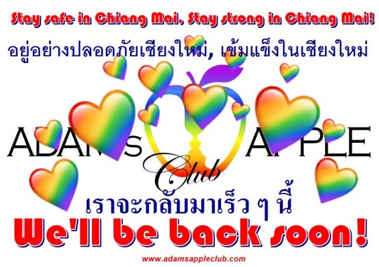 Stay safe in Chiang Mai, Stay strong in Chiang Mai Adams Apple Club Host Bar Gay Club Adult Entertainment Thai Boys Ladyboy Liveshow LGBTQ
