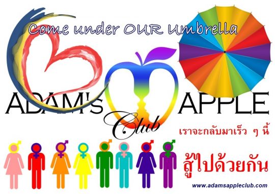 Come under OUR umbrella Adams Apple Club Gay Bar Chiang Mai. To all of our friends around the world we miss YOU LGBTQ