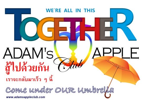 Come under OUR umbrella Adams Apple Club Gay Bar Chiang Mai. To all of our friends around the world we miss YOU LGBTQ