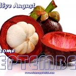 Welcome SEPTEMBER 2021 Adams Apple Club Gay Bar Chiang Mai Let us pray together that we will survive this difficult time in good health