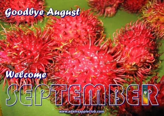 Welcome SEPTEMBER 2021 Adams Apple Club Gay Bar Chiang Mai Let us pray together that we will survive this difficult time in good health