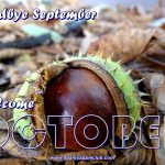 Welcome OCTOBER 2021 Adams Apple Club Chiang Mai. Gay Bar Thailand with live Ladyboy Cabaret Shows and Thai Boys LGBTQ