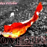 Welcome NOVEMBER 2021 Adam's Apple Club Chiang Mai Gay Bar gay friendly Nightclub Asian Boys Lady Boys Cabaret Adult Entertainment