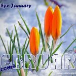 Welcome FEBRUARY 2022 Adam's Apple Club Chiang Mai Thailand Host Bar Nightclub Asian Boys Ladyboys Adult Entertainment LGBTQ