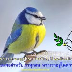 Peace no War in Ukraine Adams Apple Club Gay Bar Thailand. The world is enough for all of us, if we live in PEACE!