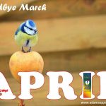 Welcome APRIL 2022 Adams Apple Gay Club Chiang Mai, Thailand. We all hope that it will be a good month. Please never give up!