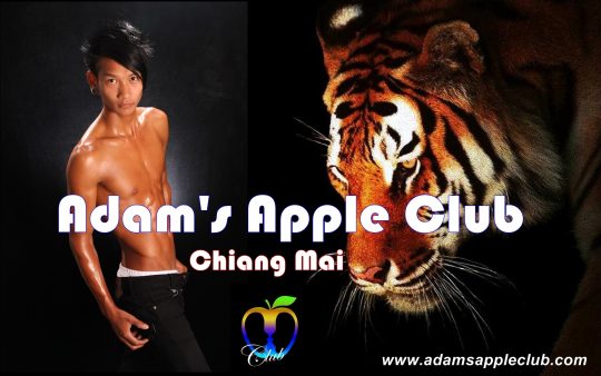 Gay in Chiang Mai Adam's Apple Club Thailand OPEN every Night 9:00 PM and our amazing unique Show START every Night 10:00 PM.