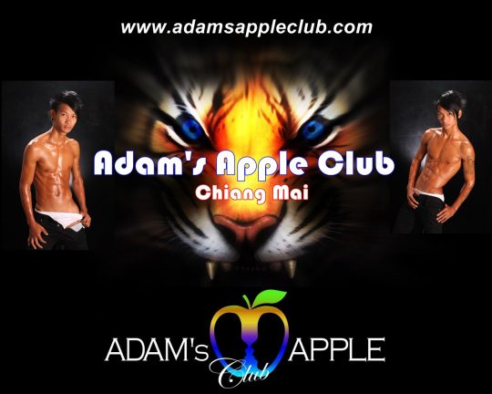 Gay in Chiang Mai Adam's Apple Club Thailand OPEN every Night 9:00 PM and our amazing unique Show START every Night 10:00 PM.
