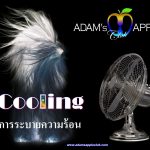 Cool off in our Nightclub in Chiang Mai Gay Bar, North of Thailand. Don’t miss our amazing Live Shows in Chiang Mai @ Adams Apple Club