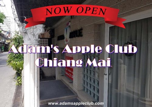 Bar Gay Adams Apple Club Chiang Mai Thailand