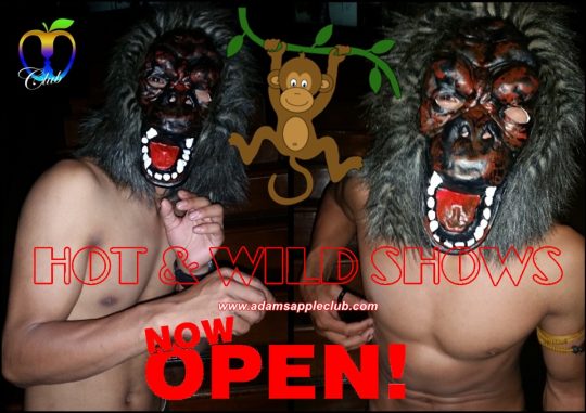 Hot and Wild Shows Adams Apple Gay Club Chiang Mai, Thailand The most talented Show Boys ever and a very amazing Cabaret