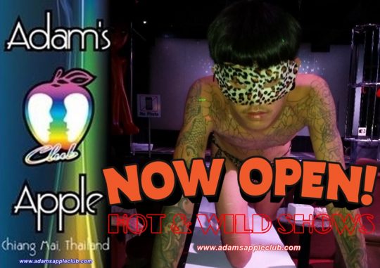 Hot and Wild Shows Adams Apple Gay Club Chiang Mai, Thailand The most talented Show Boys ever and a very amazing Cabaret