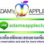 Gay Bar LINE Contact Adam's Apple Club Chiang Mai, make a reservation and ask for more information what is going on in Chiang Mai Gay Scene